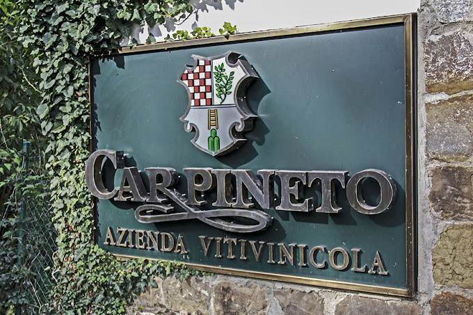 sign outside winery that reads 'carpineto'