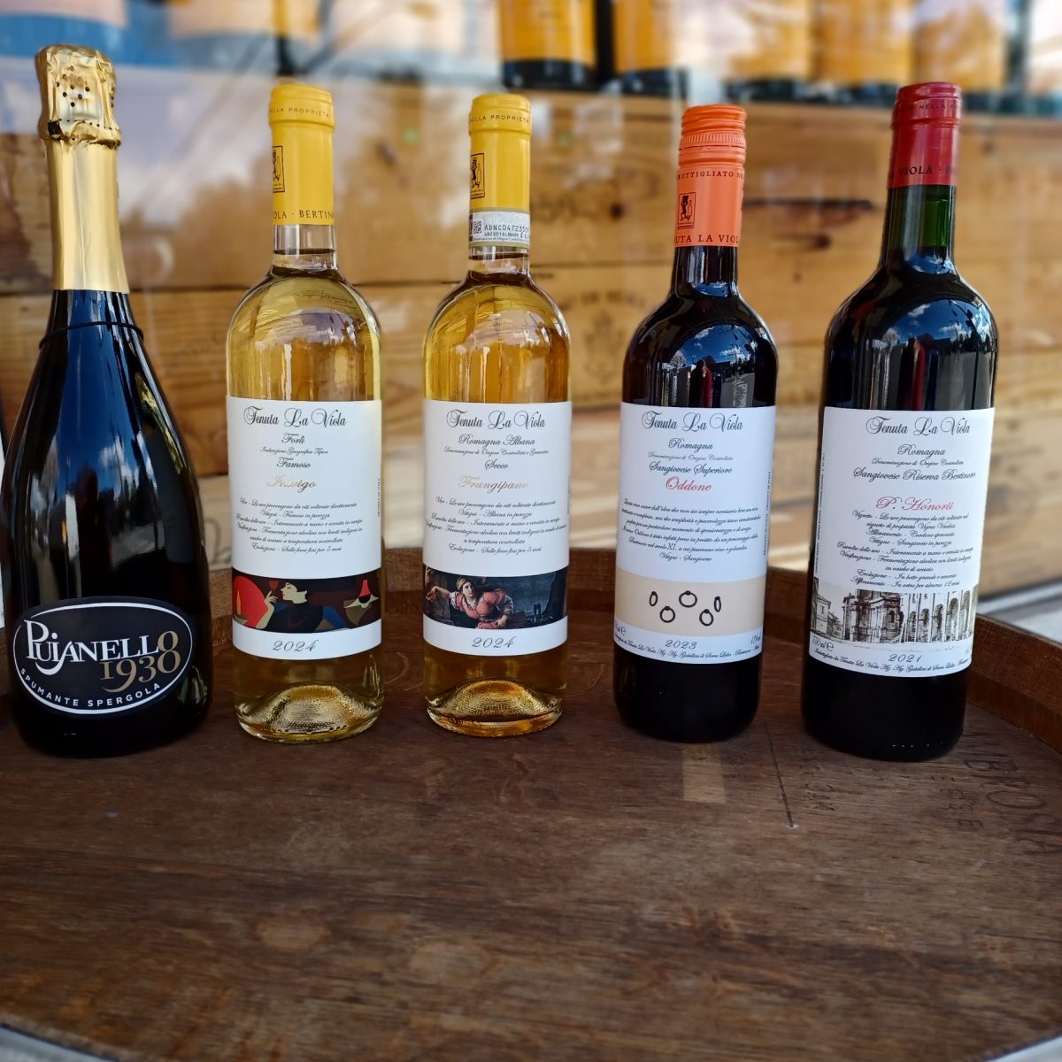 Resized_20260402_133234